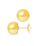 Boucle d'Oreilles Bouton AYA | Or Jaune & Perles de Culture Dorées
