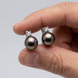 Boucle d'Oreilles -Perles de Tahiti- Ovale Diamètre 8-9 mm- Argent