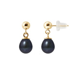 Boucles d'oreilles ABI | Or Jaune & Perles de Culture Black Tahiti