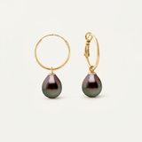 Créoles JANE | Or Jaune & Perles de Tahiti