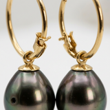 Créoles JANE | Or Jaune & Perles de Tahiti