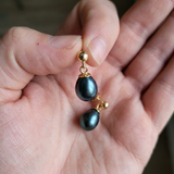 Boucle d'Oreilles MINÉA | Or Jaune & Perles de Culture Black Tahiti