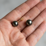 Puces d'oreilles en or jaune 9 carats avec perles de Tahiti noires, présentées dans une main.