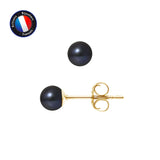 Boucle d'Oreilles- Perles de Culture d'Eau Douce Ronde 5-6 mm Black Tahiti- Or Jaune