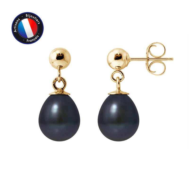 Boucle d'Oreilles - Perles de Culture d'Eau Douce- Diamètre 7-8 mm Black Tahit - Or Jaune