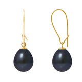 Boucle d'Oreilles- Perles de Culture d'Eau Douce- Poire Diamètre 9-10  mm Black Tahiti- Or Jaune