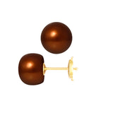 PERLINEA- Boucle d'Oreilles- Perles de Culture d'Eau Douce- Bouton Diamètre 9-10  mm Chocolat- Bijou Femme- OrJaune
